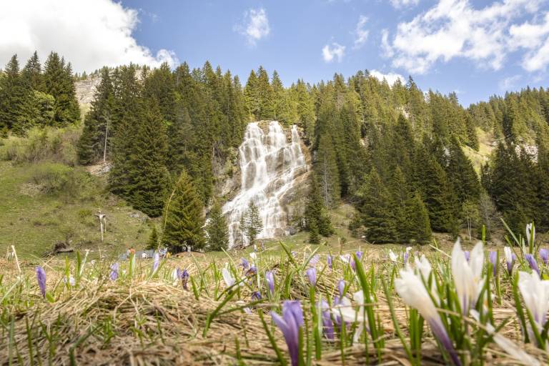 Brochaux Waterfall image2