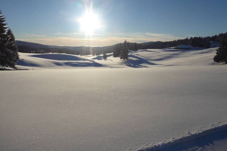 Schneeschuhpfad des Eichhörnchens image2