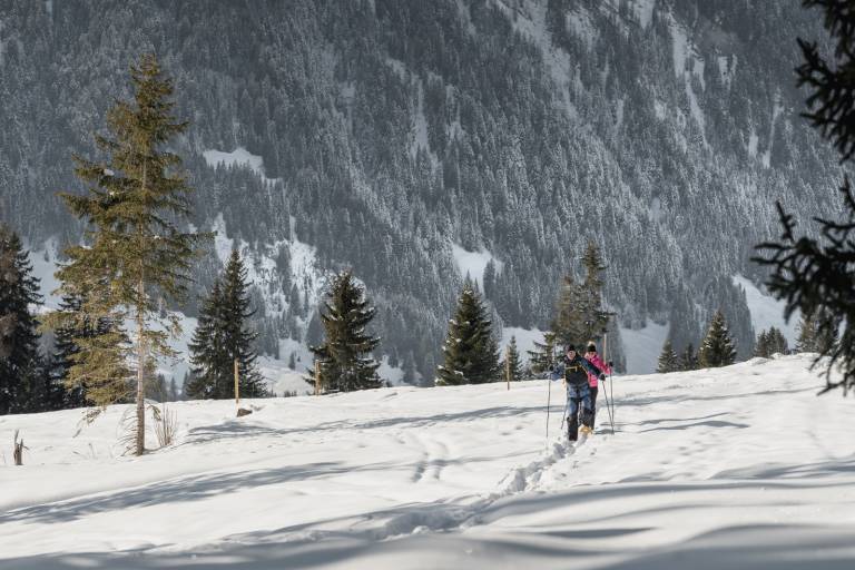 S11 Bergmoos Trail: Wispile - Bergmoos - Feutersoey image2