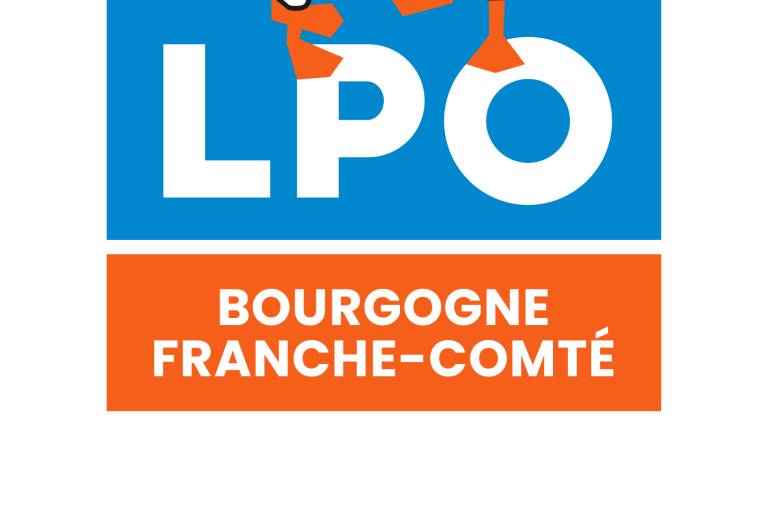À l'écoute du brame du cerf en forêt de Cheuilly  image1