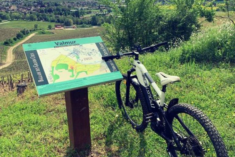 Location de VTT à assistance électrique - À la découverte du vignoble Chablisien avec Marc Colin image1