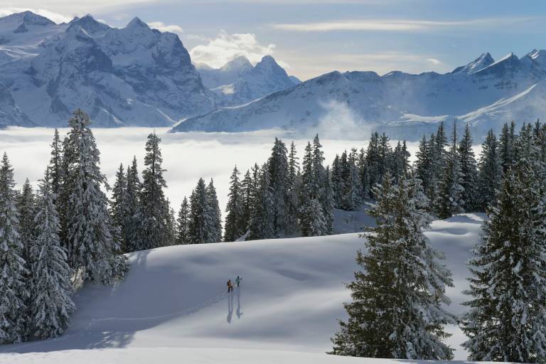 Mägisalp - Bidmi image1