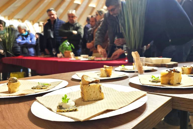 An insolite banquet at the Peaugres Safari Park image2