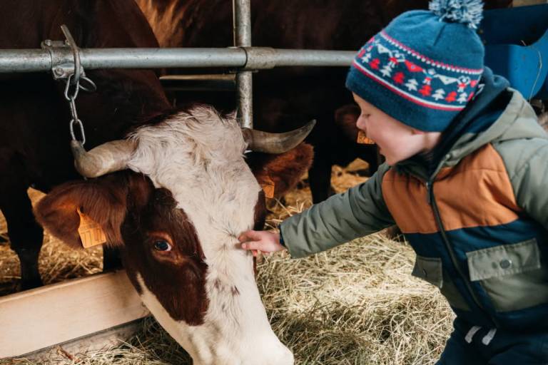 Visite de la ferme de l'Auboury image1