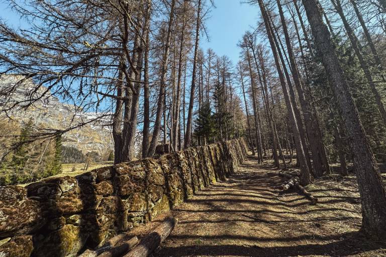 Avalanche path image2
