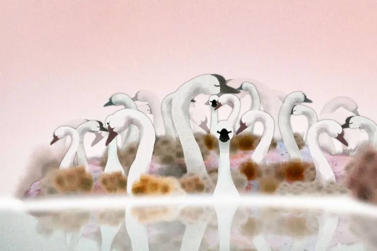 Cinéma : Le Cygne et l'Enfant image1