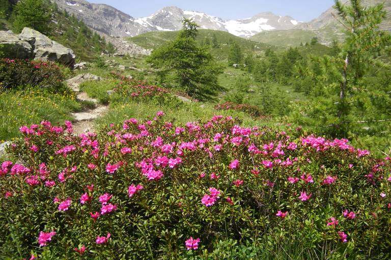 Narreyroux valley image1