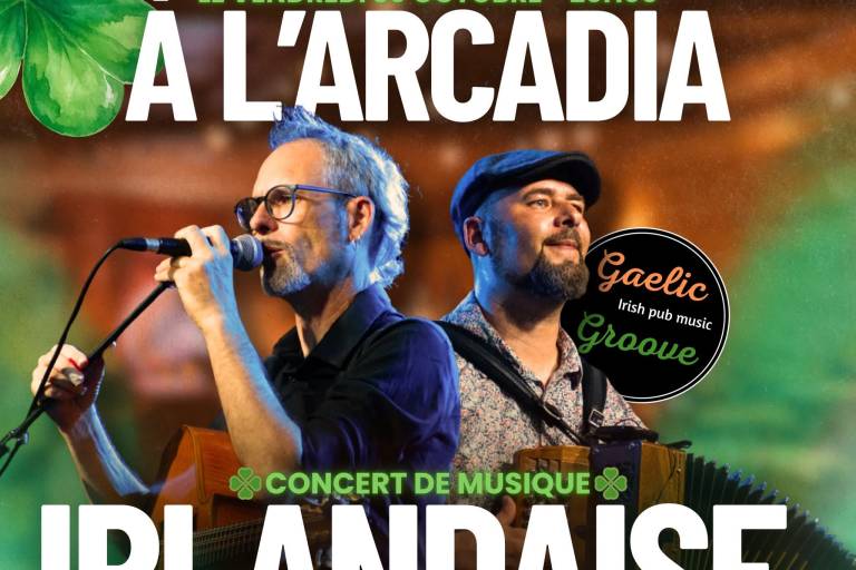 Concert de musique irlandaise image1