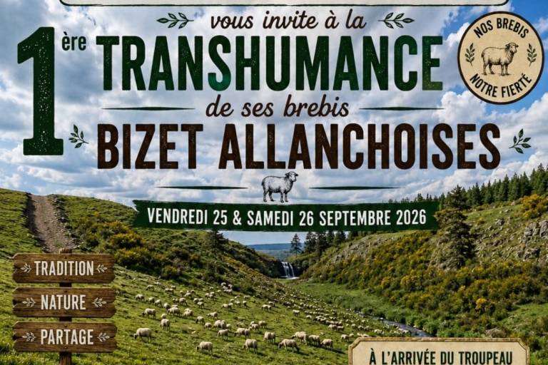 Transhumance de ses brebis Bizet Allanchoises image1