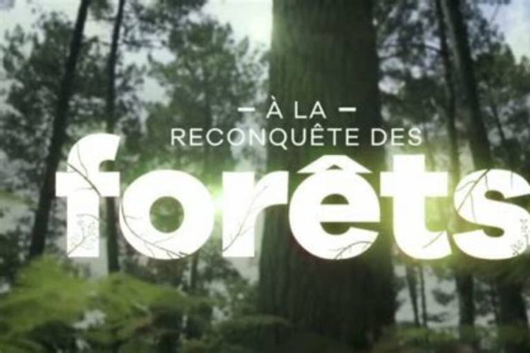 A la reconquête des forêts – Episode 3 : Les Landes, à l’Aube d’un Nouvel Equilibre image1