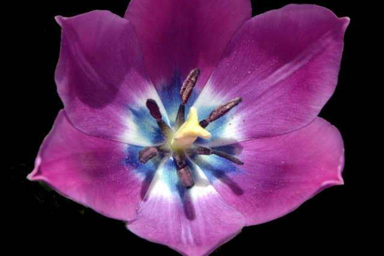 Vallouimages image1