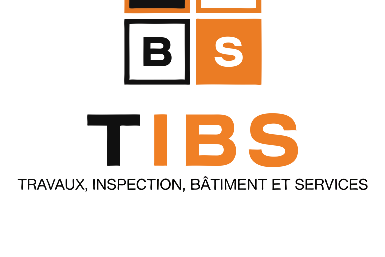 TIBS: TRAVAUX, INSPECTION, BATIMENT et SERVICES image1