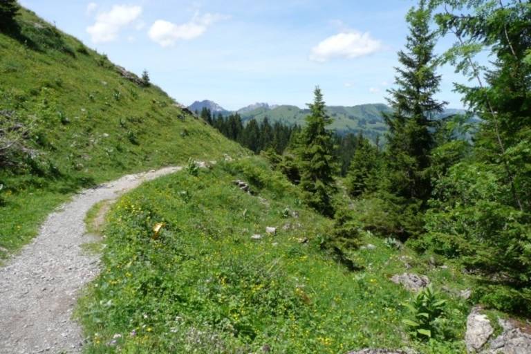 Hornberg - Horneggli Trail image1