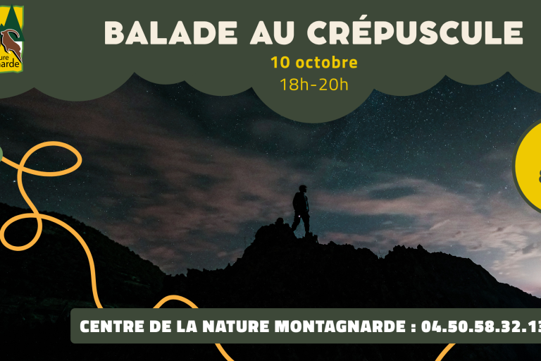 Balade au crépuscule image1