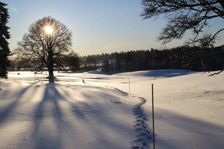 Schneeschuhpfad La Chouette image1