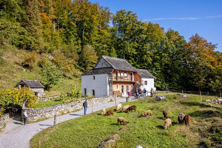 Ballenberg, Freilichtmuseum der Schweiz - Brienz image2