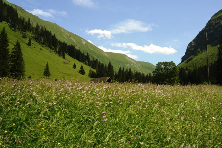 B9 Panoramaroute: Gstaad - Gruben - Oberbort - Turbach - Gstaad image1