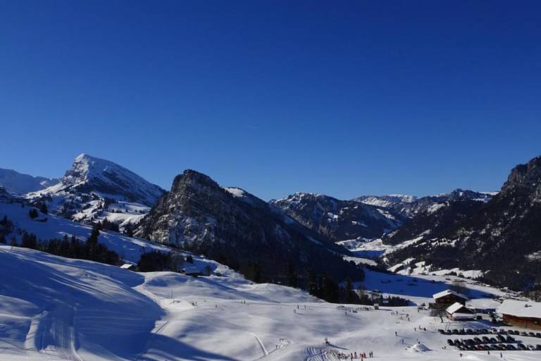 Springenboden image1