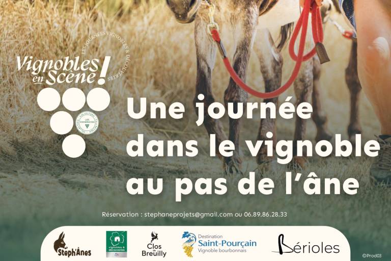 Une journée dans le vignoble au pas de l'âne image1