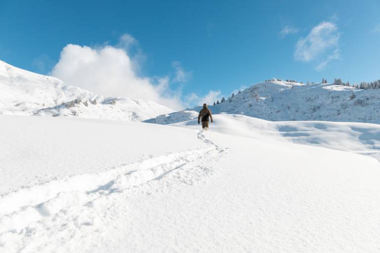 Location de raquettes à neige / Anthonioz ski image1