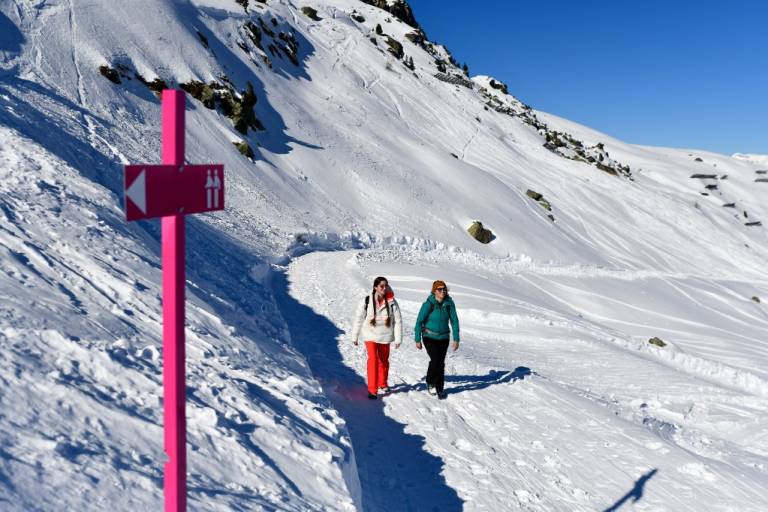 2. Grimentz: Grands Plans - Grimentz path image1