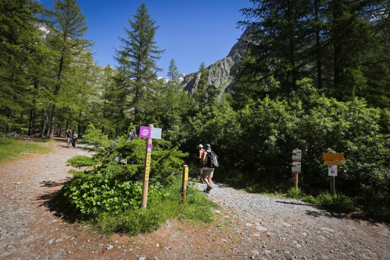 Pré de Madame Carle image2