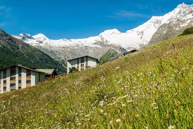 Ferien-in-Saas-Fee image2