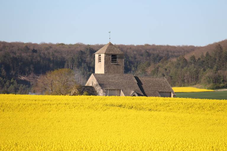 Concert Trio à cordes : " Le trio fait son show" image1