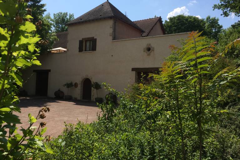 Mathias Alain image1