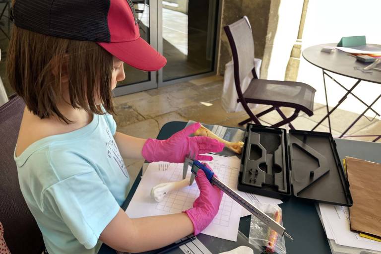 Visite-atelier 9-12 ans - Mission archéo' image2