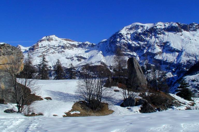 Pimouget chalets image1