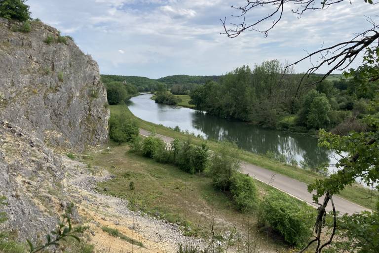 Réserve Naturelle du Bois du Parc image1