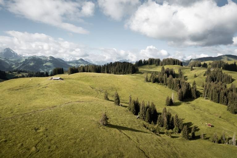 W5 Sparenmoos - Hundsrügg - Jaunpass image1