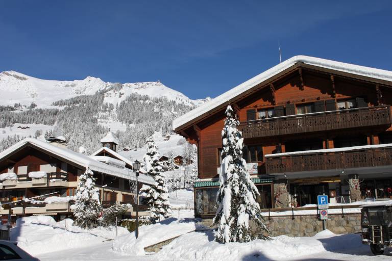 Les Diablerets - Vers l'Eglise - Le Rosex - Les Diablerets image1