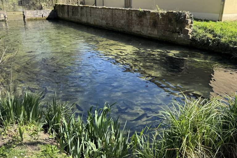 Ferme Aquacole de Crisenon image1