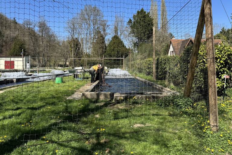 Ferme Aquacole de Crisenon image2