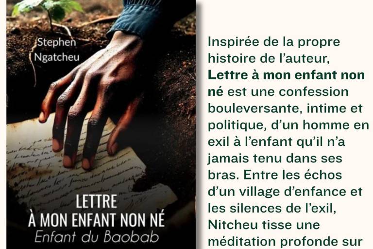 Rencontre auteur : Stephen NGatcheu image1