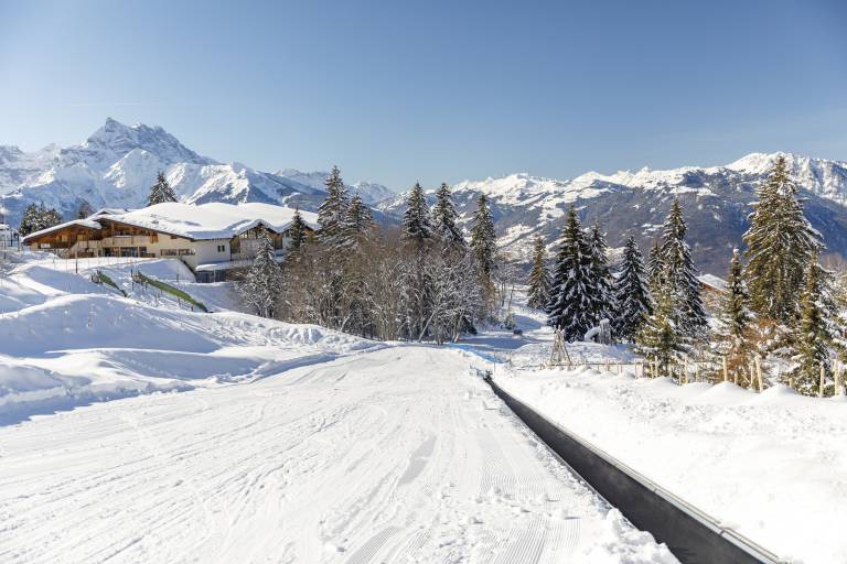 Schlittenbahn Villars Fun Park image1