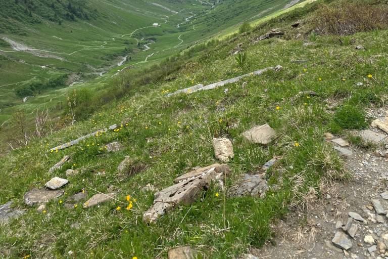 1 Via Alpina stage 16: Lenk - Gstaad image1