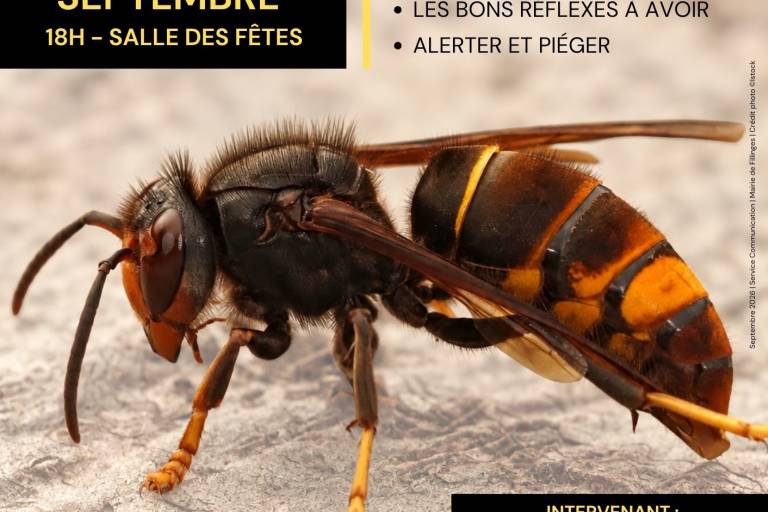Conférence - Lutte contre le frelon asiatique image1