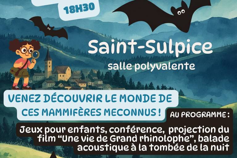 La nuit des chauves-souris image1