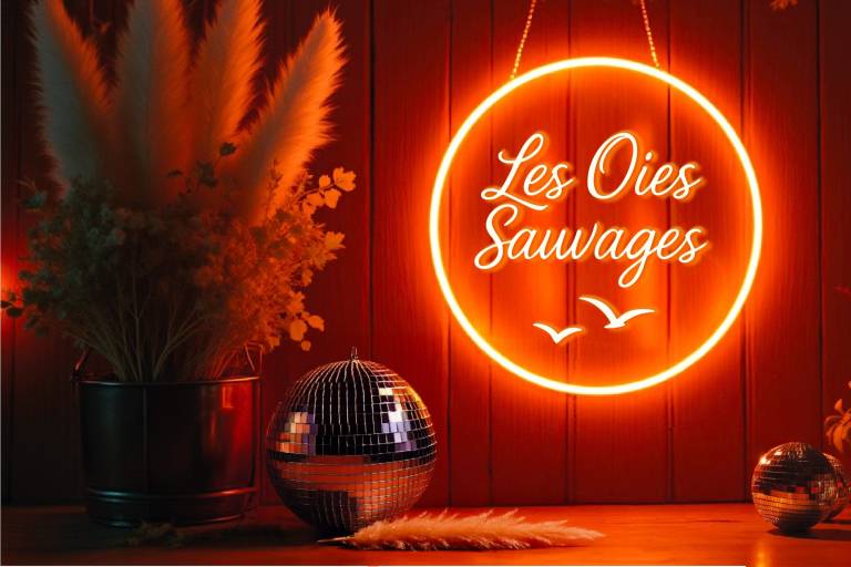 Les oies sauvages - Bar et restaurant image1