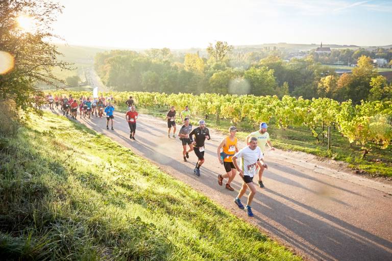 Marathon de Chablis image1