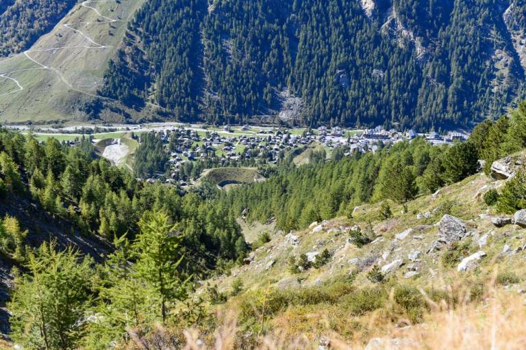 Trail Promenade des Arolles - Zinal image2
