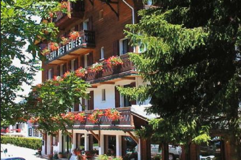 Hôtel Fleur des Neiges image1