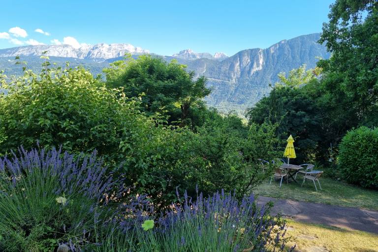 Hôtel Bellevue image1