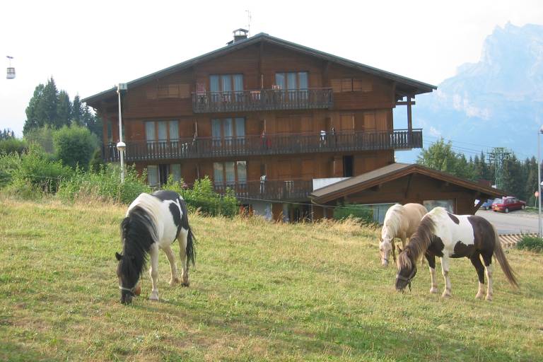 Chalet Gabriel image1