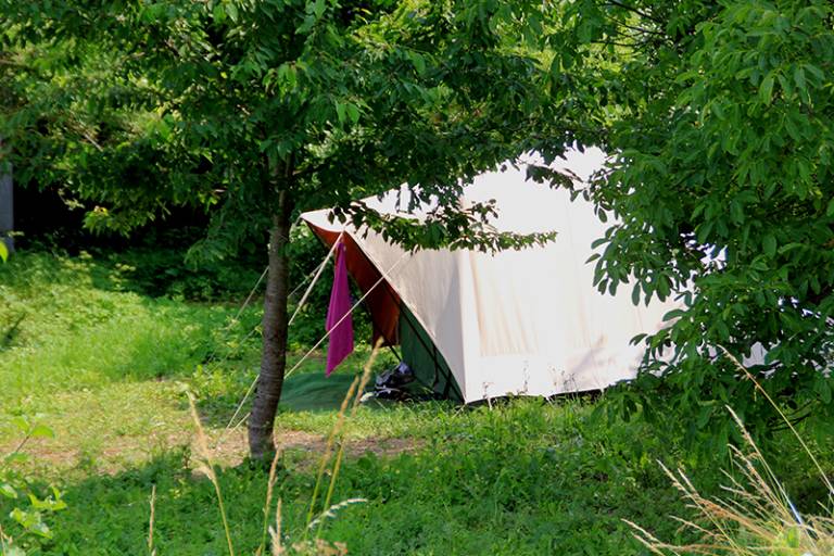 Le Champ Des Couchettes image2