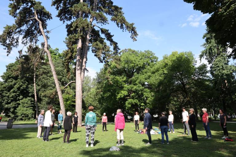 Matinées Tai Chi : Initiation Qi Gong avec ATCC Bambou image1
