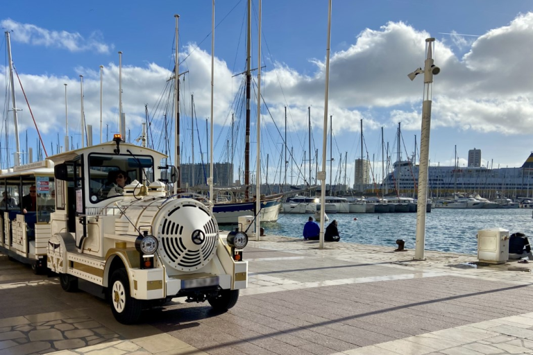 Les Petits Trains de Toulon image2